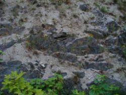 2013-07-20_Regina-F-Rau_Kochel-Rabenkopf (625).JPG